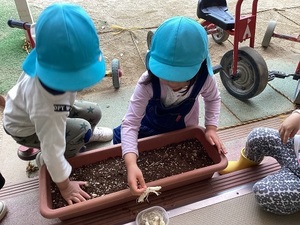 IMG_0048.JPG