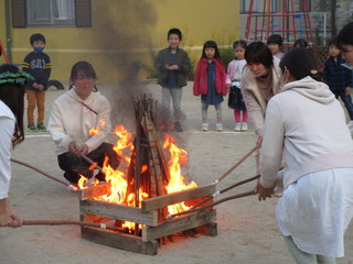 IMG_4433.JPG